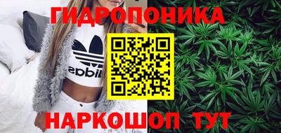 гашик Заводоуковск