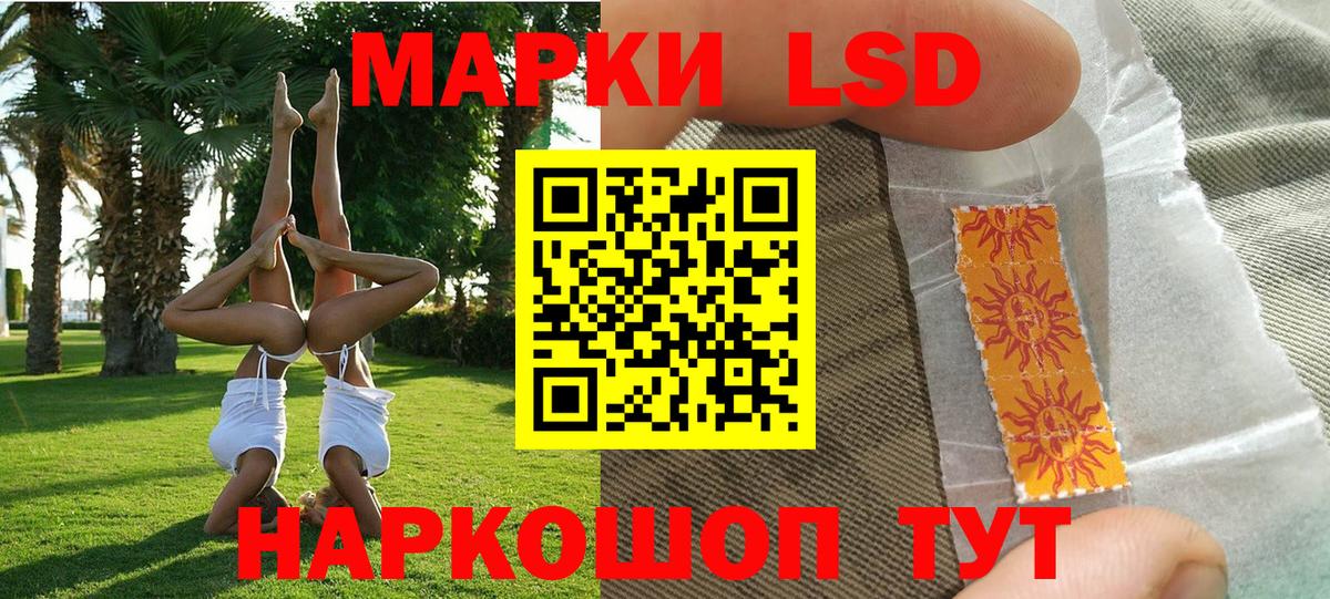 Наркотические марки 1500мкг  Вход с VPN  Наркотические марки 1500мкг  Курчатов 
