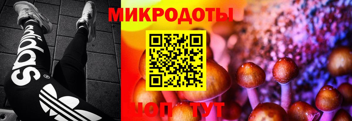 Псилоцибиновые грибы Magic Shrooms  купить   Курчатов  Вход с VPN 